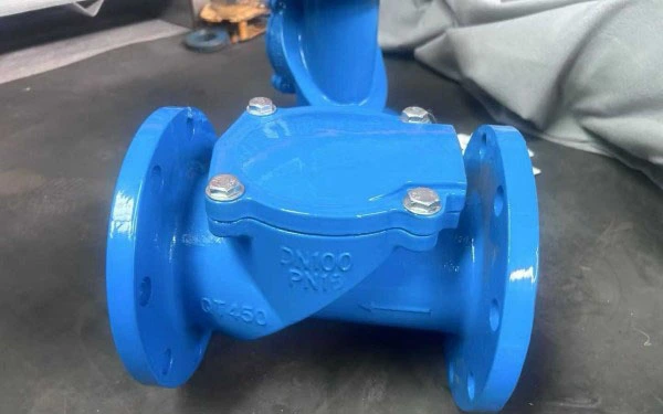 Rubber Check Valve